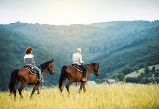 A happy senior couple riding horses on a meadow in nature. Copy space.